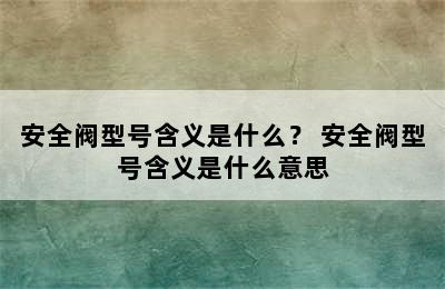 安全阀型号含义是什么？ 安全阀型号含义是什么意思